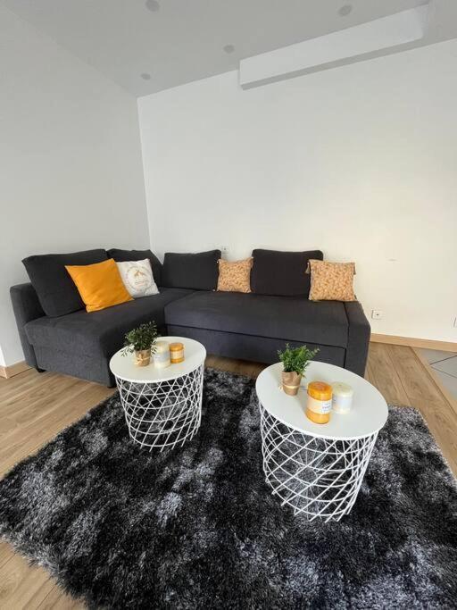 Superbe Appartement Moderne En Rez-De-Chaussee Ozoir-la-Ferrière Eksteriør billede