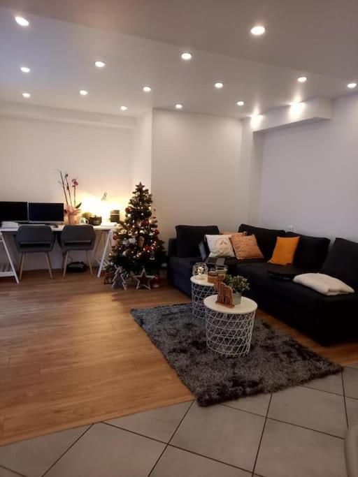 Superbe Appartement Moderne En Rez-De-Chaussee Ozoir-la-Ferrière Eksteriør billede
